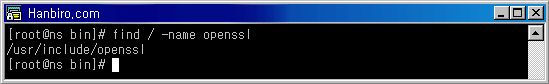 콘솔 캡처 화면 find / -name openssl 결과 /user/include/openssl