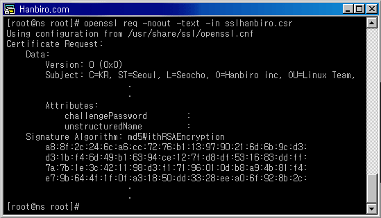 콘솔 캡처 화면 : openssl req -noout -text -in sslhanbiro.csr