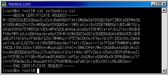 콘솔 캡처 화면 : cat sslhanbiro.csr