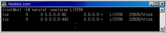 콘솔 캡처 화면 : netstat -anplgrep LISTEN